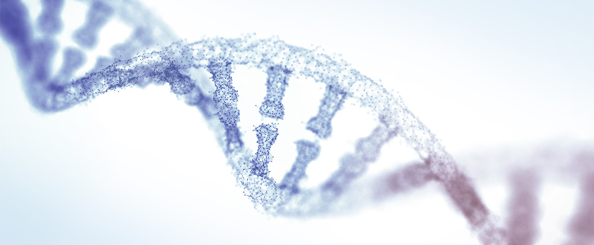 Vereinfachte Darstellung eines DNA-Strangs. iStock.com/from2015